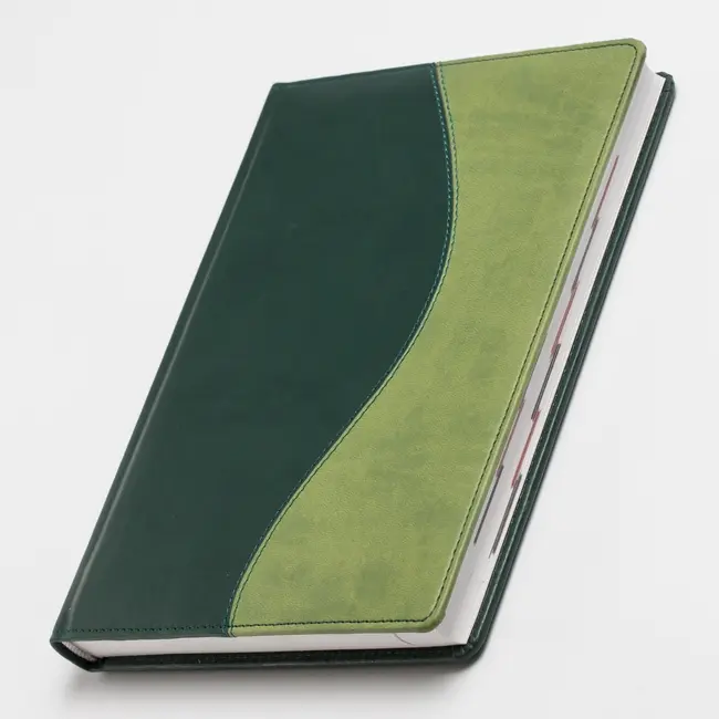 Ежедневник A5 'Brisk' датированный ЗВ-55-K/02 'Комби' зелёный и фисташковый Зеленый 5926-01
