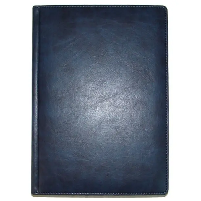 Щоденник діловий 'Brisk' ЗВ-55 'SAVANA' датований синій Синий 5919-03