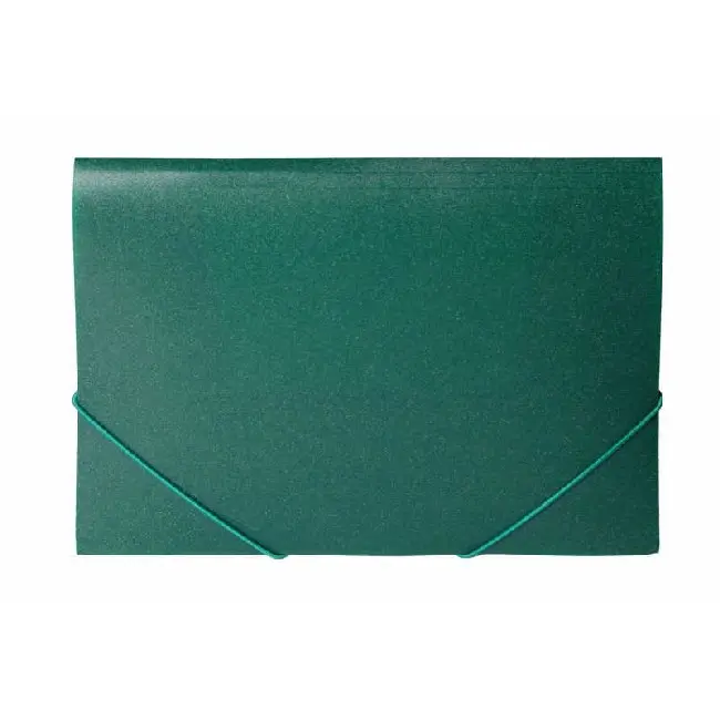 Папка А4 пластиковая на резинках зеленая Зеленый 4408-03