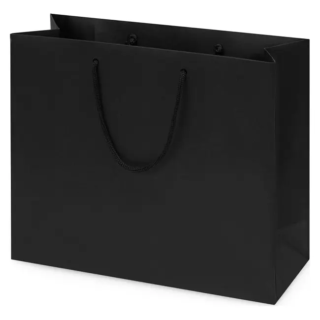 Пакет подарочный Черный 15063-01