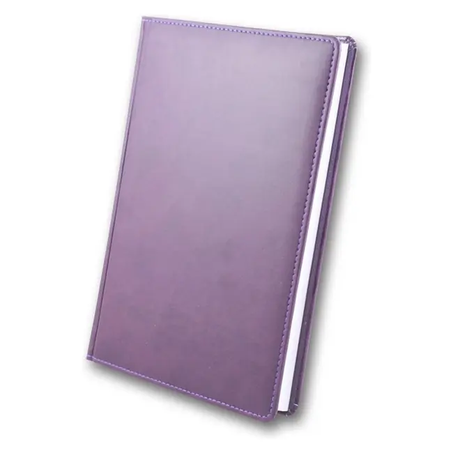 Щоденник A5 'Brisk' датований ЗВ-55 'WINNER' фіолетовий Фиолетовый 5917-11