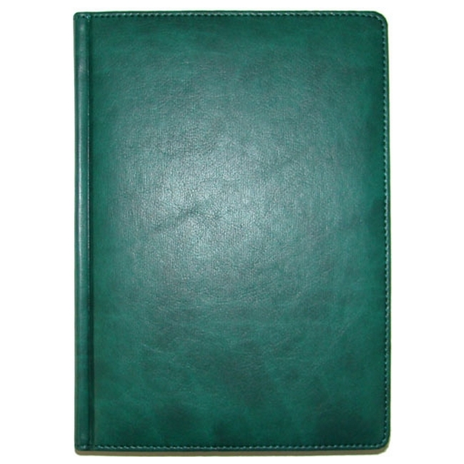 Ежедневник A5 'Brisk' датированный ЗВ-55 'SAVANA' зеленый Зеленый 5919-01