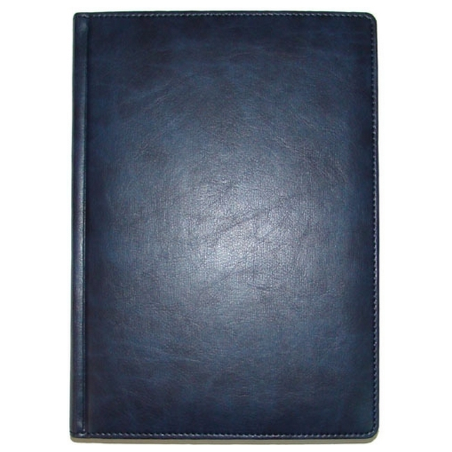 Ежедневник A5 'Brisk' датированный ЗВ-55 'SAVANA' синий Синий 5919-03
