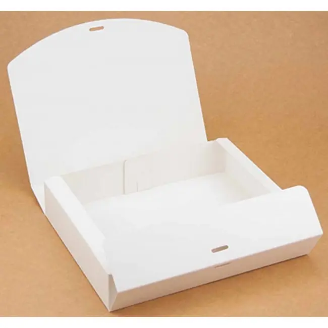 Коробка картонна Самозбірна 250х200х50 мм біла Белый 13920-01