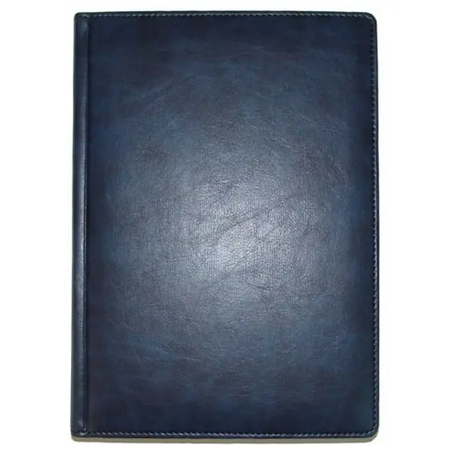 Щоденник діловий 'Brisk' ЗВ-43 'SAVANA' недатований синій Синий 5959-03