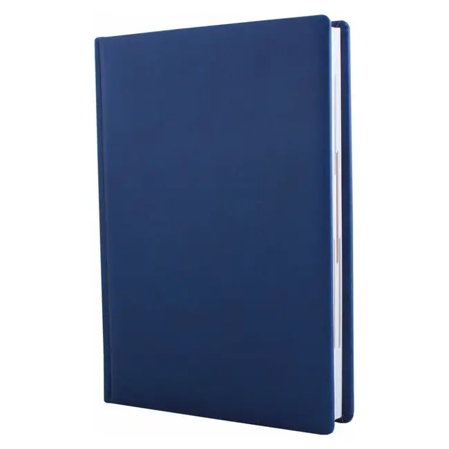 Ежедневник А6 датированный Синий 12620-02