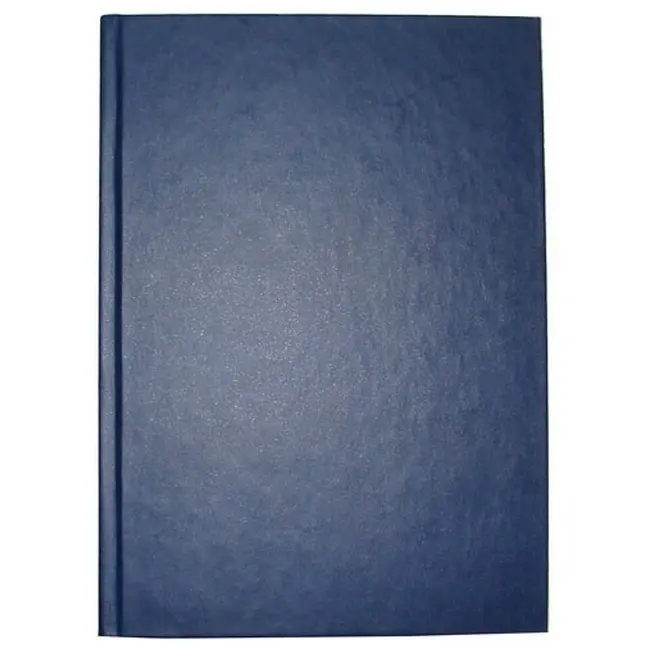 Ежедневник A5 'Brisk' недатированный ЗВ-53 синий Синий 5948-01