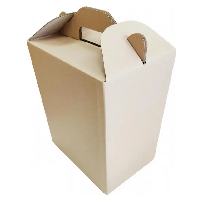 Коробка картонна Самозбірна 250х170х300 мм бура Коричневый 13918-01
