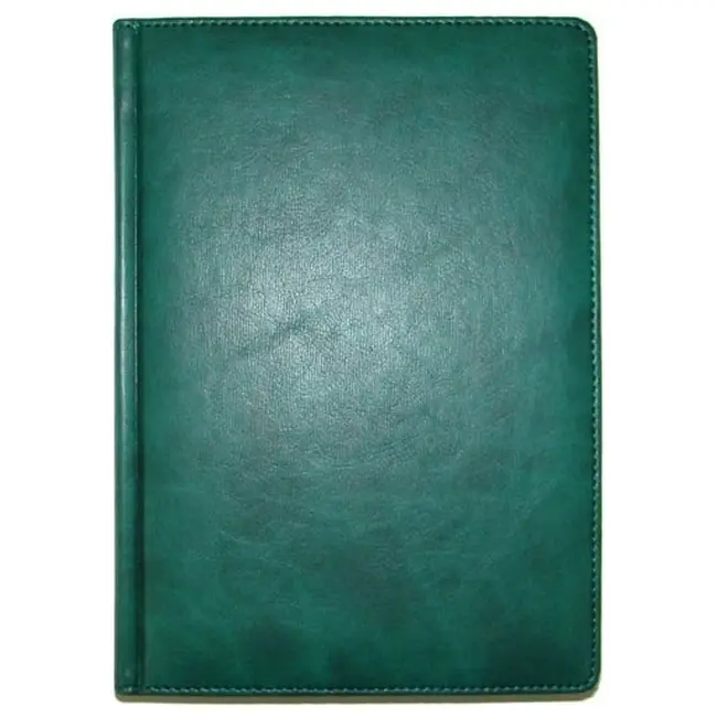 Щоденник діловий 'Brisk' ЗВ-43 'SAVANA' недатований зелений Зеленый 5959-01