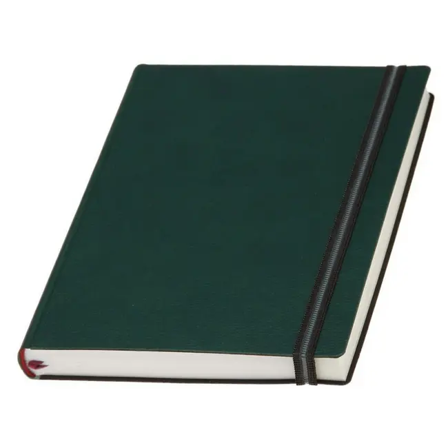 Щоденник діловий недатований білий блок A5 Зеленый Черный 1310-06