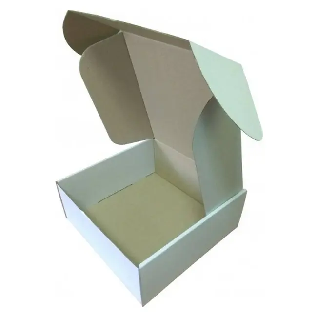 Коробка картонна Самозбірна 250х250х100 мм біла Белый 10162-01