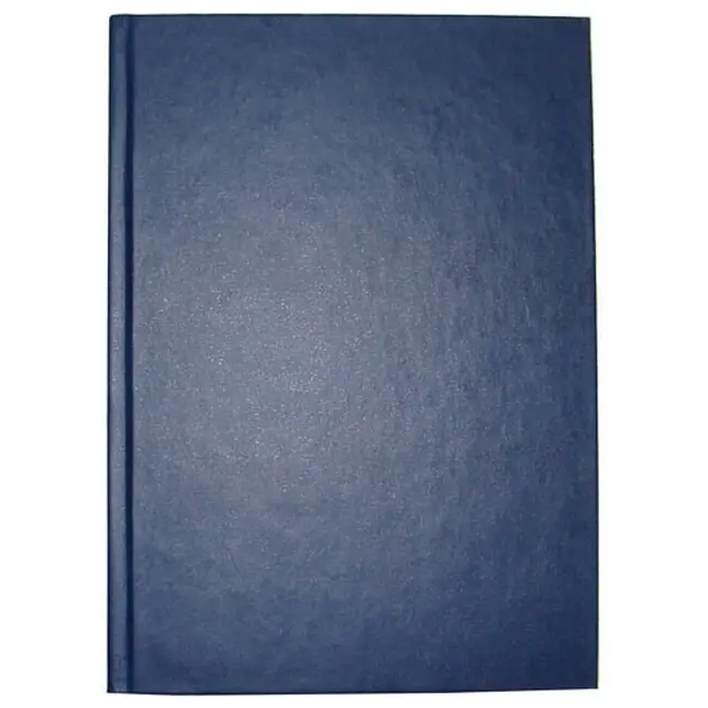 Щоденник діловий 'Brisk' ЗВ-59 'Универсал' напівдатований синій Синий 5929-02