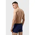 Трусы боксеры мужские 'RAY' 'BASIC'