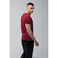 Футболка мужская 'RAY' 'PREMIUM FIT'