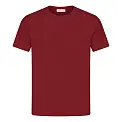 Футболка мужская 'RAY' 'PREMIUM FIT'