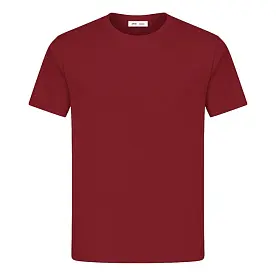 Футболка мужская 'RAY' 'PREMIUM FIT'