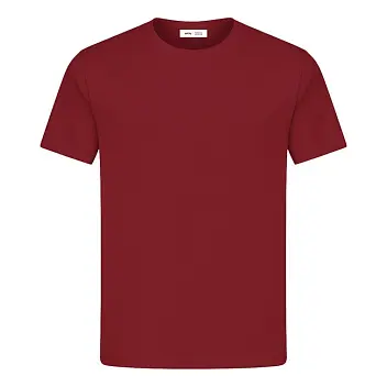 Футболка мужская 'RAY' 'PREMIUM FIT' Бордовый 15330-05