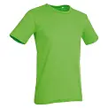 Футболка 'Stedman' 'Morgan (Crew Neck)' Green Flash