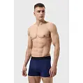 Трусы боксеры мужские 'RAY' 'BASIC'