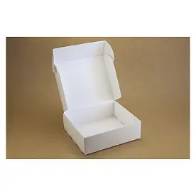 Коробка картонна Самозбірна 290х250х90 мм біла