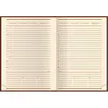 Щоденник A5 недатований 'Armonia metallic'