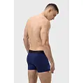 Трусы боксеры мужские 'RAY' 'BASIC'