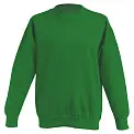 Толстовка 'JHK' 'KID SWEATSHIRT' KELLY GREEN