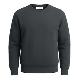 Свитшот утепленный 'RAY' 'BASIC'
