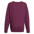 Толстовка чоловіча 'Fruit of the Loom' Lightweight