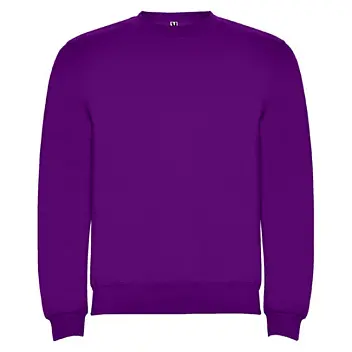 Реглан 'Roly' 'Clasica 280' Фиолетовый 14644-09