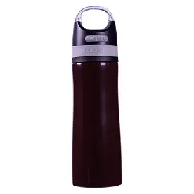 Термобутылка 'Boston Bluetooth' glossy 520 мл