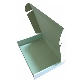 Коробка картонна Самозбірна 250х180х40 мм біла