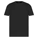 Футболка мужская 'RAY' 'PREMIUM FIT'