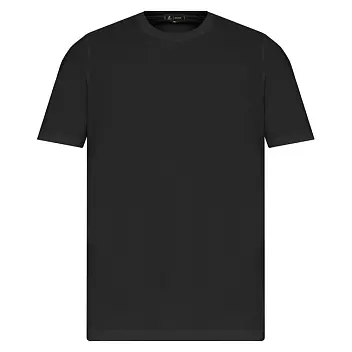 Футболка мужская 'RAY' 'PREMIUM FIT' Черный 15330-01