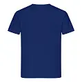 Футболка мужская 'RAY' 'PREMIUM FIT'