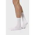 Носки демисезонные 'RAY' 'BASIC' UNISEX