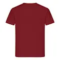 Футболка мужская 'RAY' 'PREMIUM FIT'